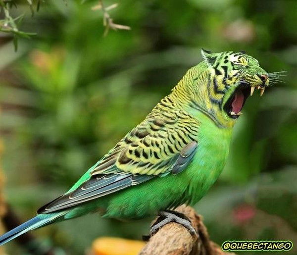 Никита Иванов