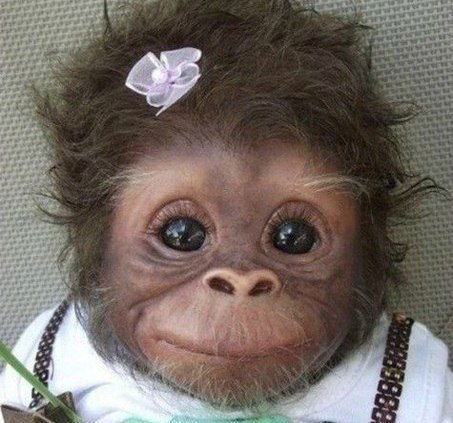 Ольга Владимировна