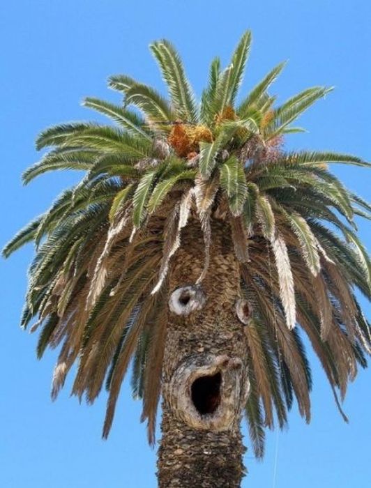 Сергей Новоселов