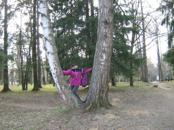 Галина Галкина