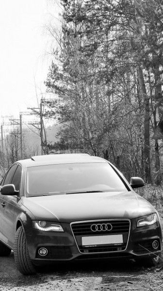 * Екатерина *