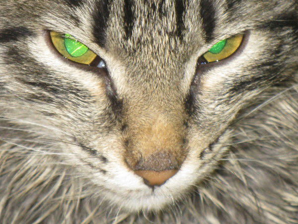 Вадим Глазырин