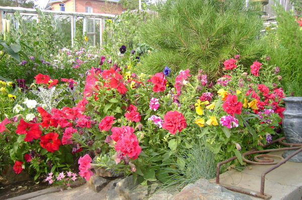 Татьяна Кольцова