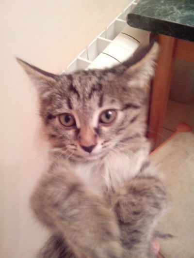 Егор Ретунский