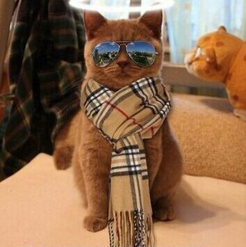 Романов Вячеслав