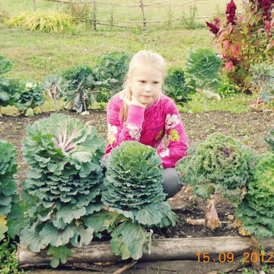 Настя Незабудка