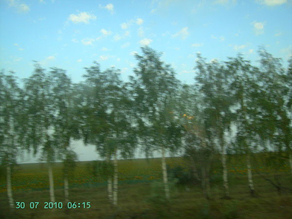 Любовь Пономарева