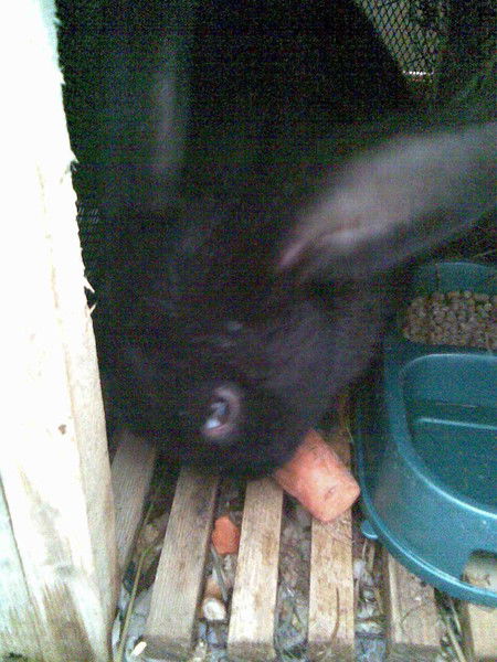 Екатерина Самохвалова