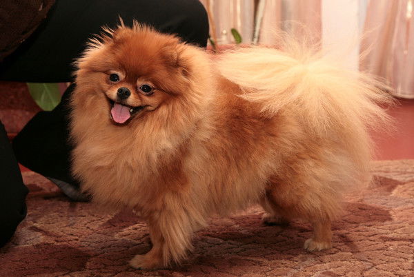 Ирина Горячева