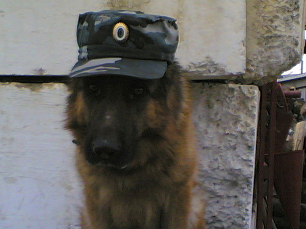 Сергей Вало