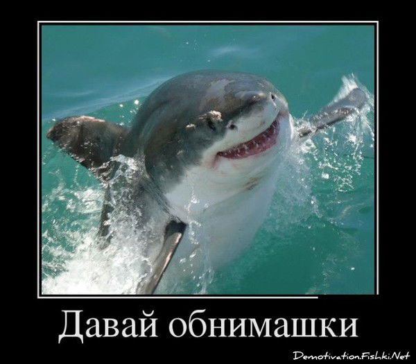 Анна Егорова