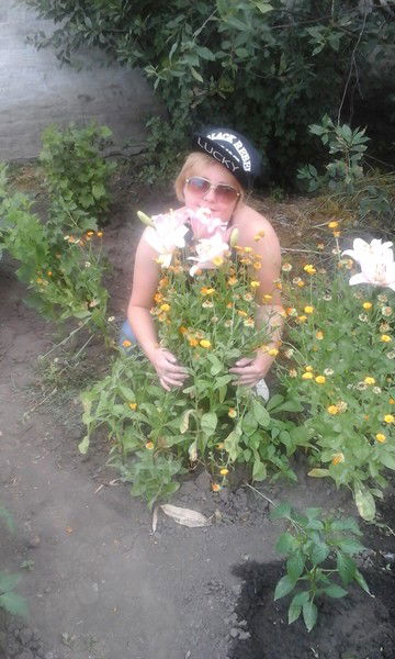 Елена Котова