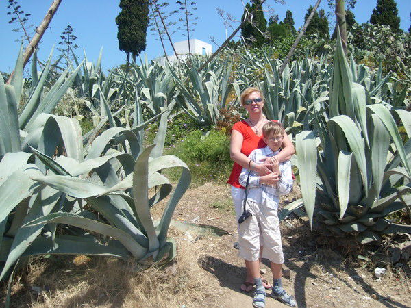 Елена Черняева