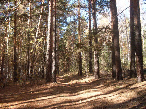 Александр Гранд