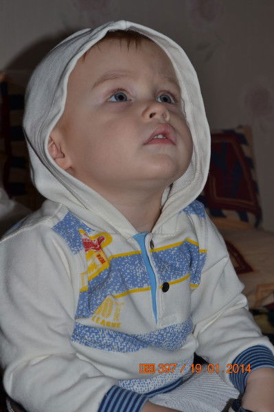 Тарас Фещенко