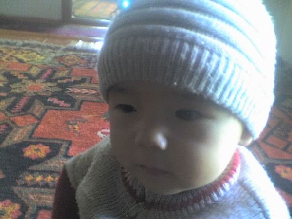 Тимур Бердибеков