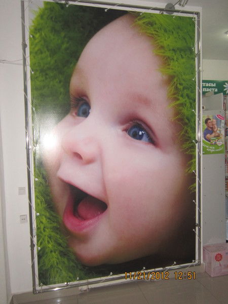 Ромашка Ревизор