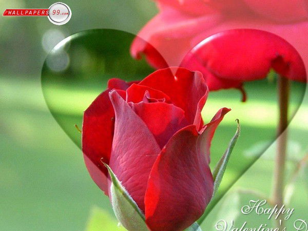 Татьяна Малеванная