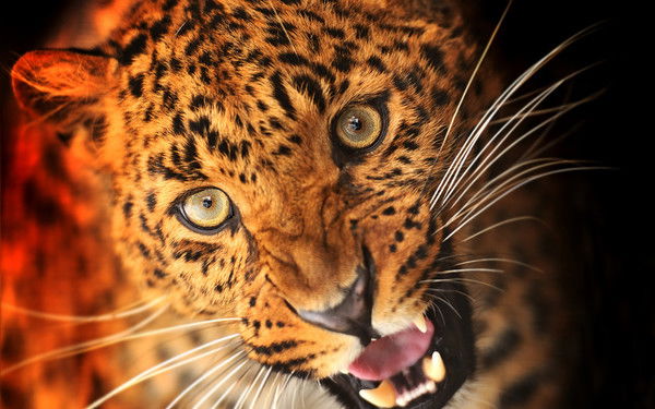 Лидия Сухарева