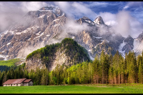 Физика Физика