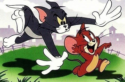 Зейнур Сулeйманов