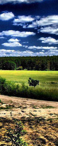 Валий Киргизходжаев