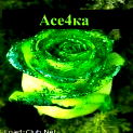 Алена Карпенкова