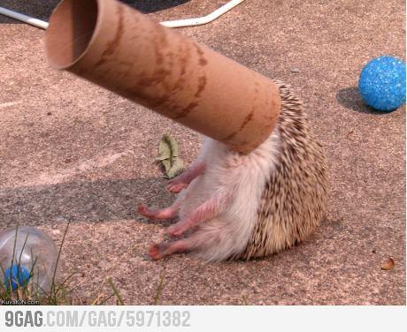 Сергій Пузир