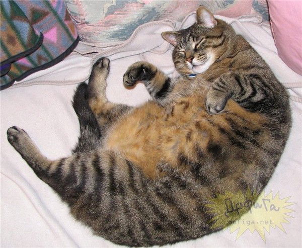 Никита Казанский