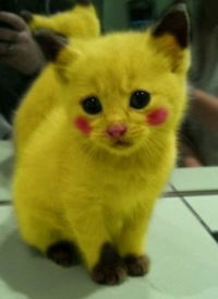 Cаша Якубовский