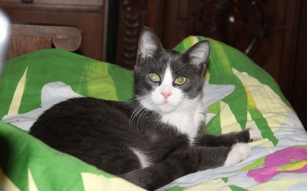 Надежда Шмагельская