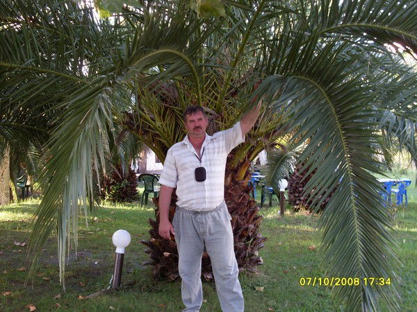 Александр Степченков