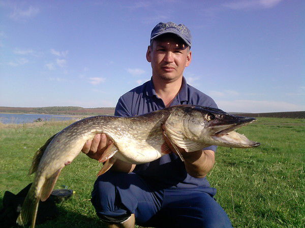 Дмитрий Черницын