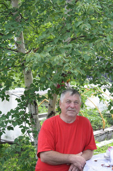 Владимир Грачев