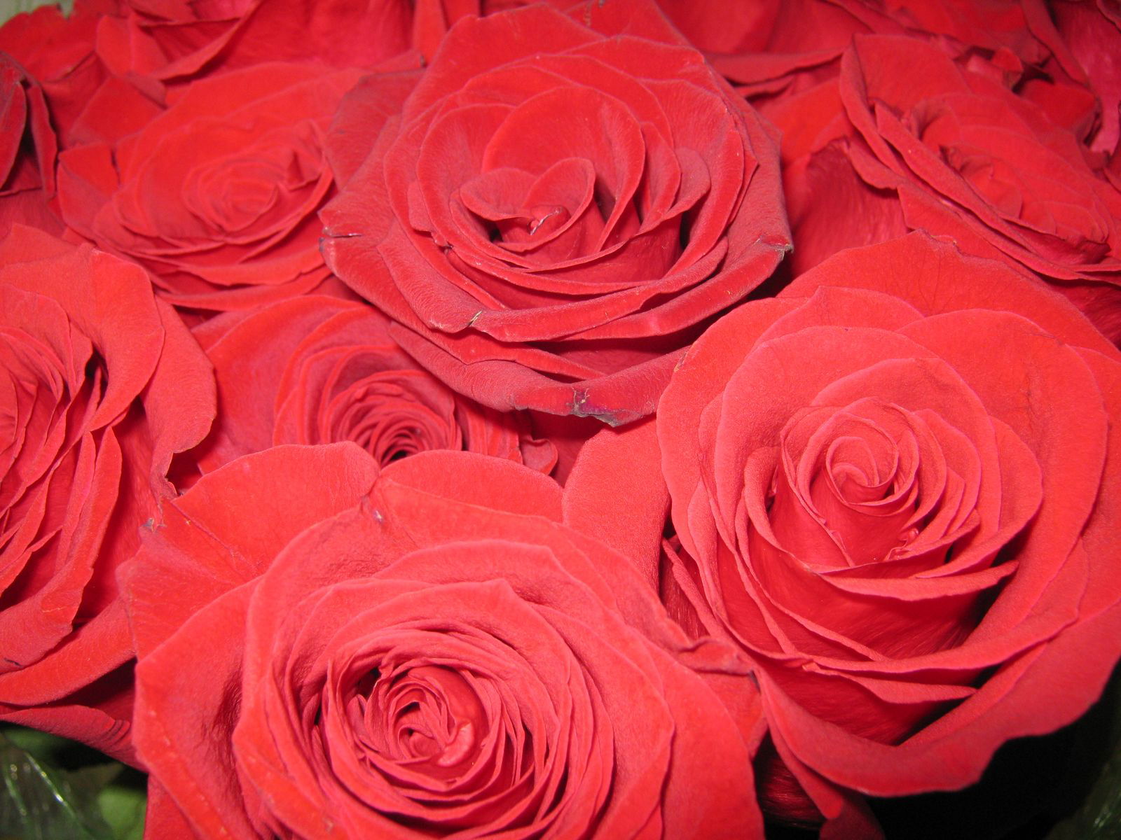 Неизвестно