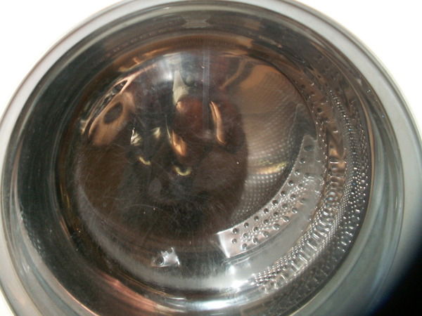 Михаил Поляков