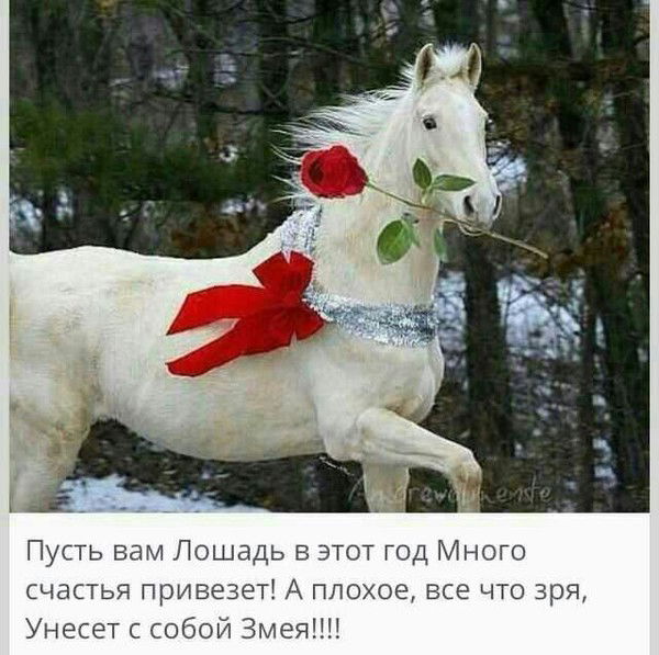 Индира Солтанбекова