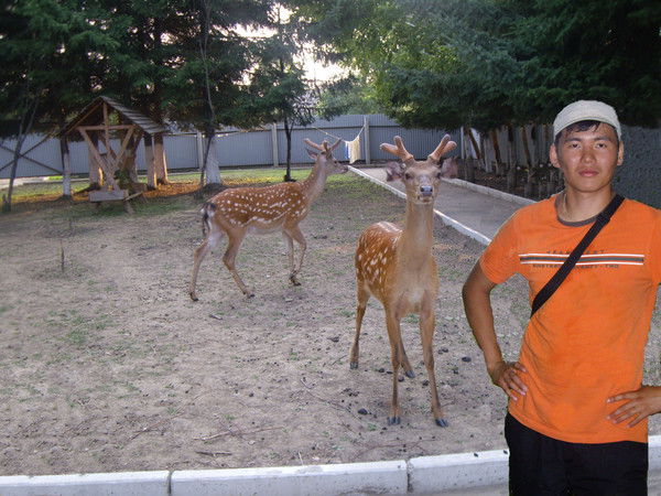 Аюр Дамбиев