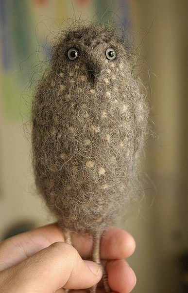 Саня Козлов