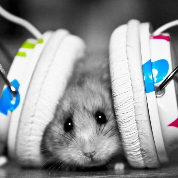 Инна Кокорина