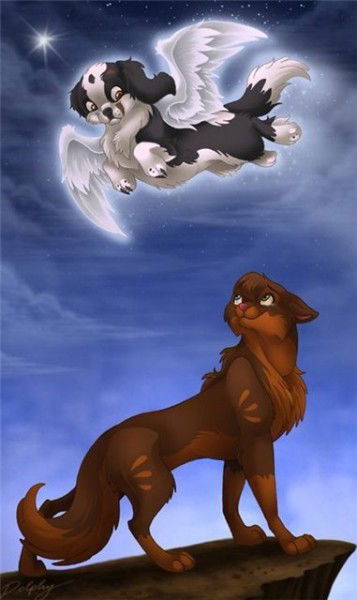 Алёночка Чухвитская