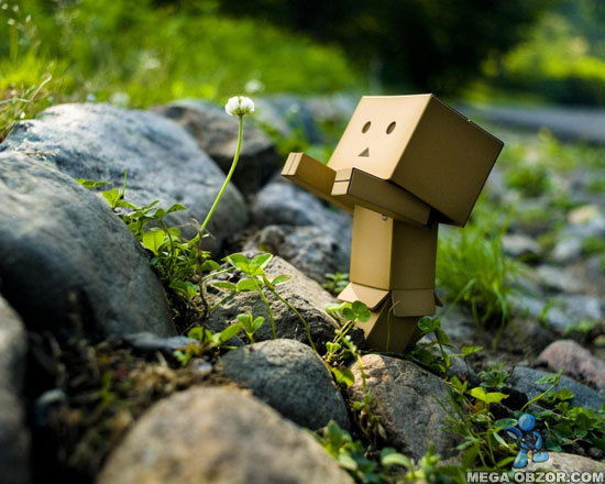 Міша Грапенюк