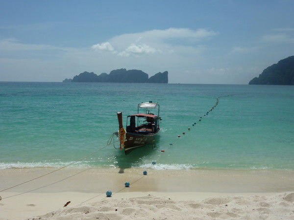 Антон Векслер