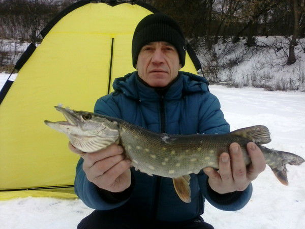 Анатолий Переплётчиков