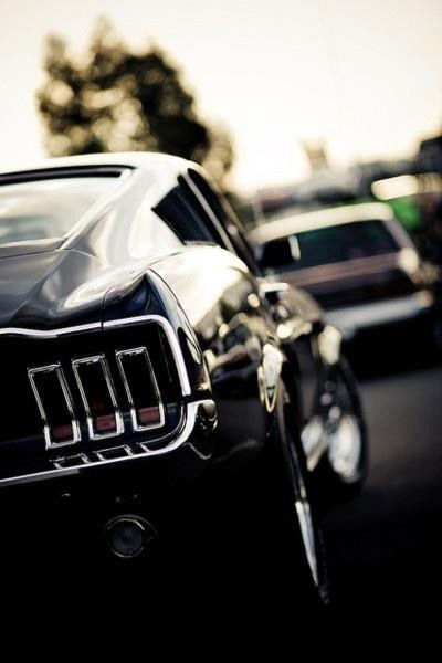 Юлия Юрченко