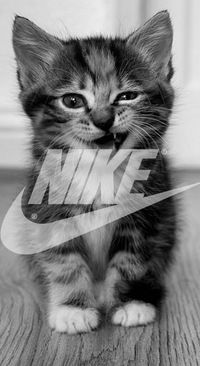 Денчик Ахуеннчик