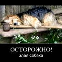 Александр Касаткин