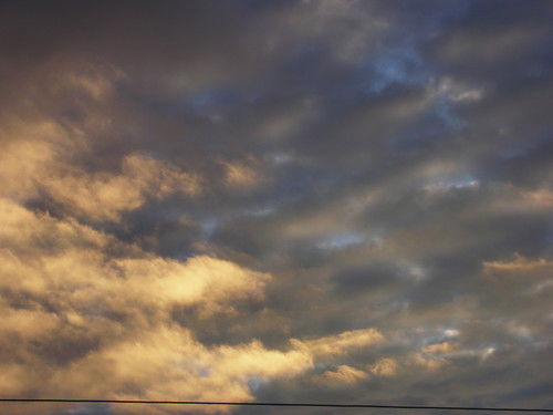 Андрей Тюрин