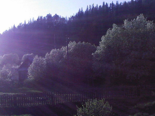 Денис Юрченко