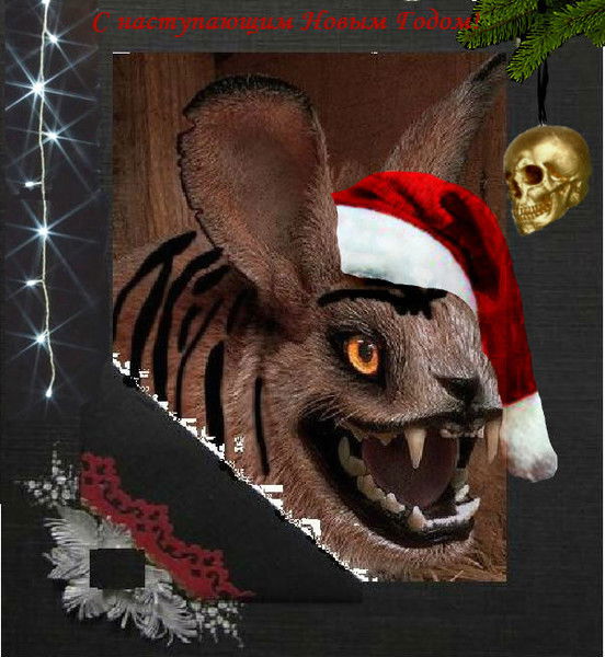 Тигр О'крол